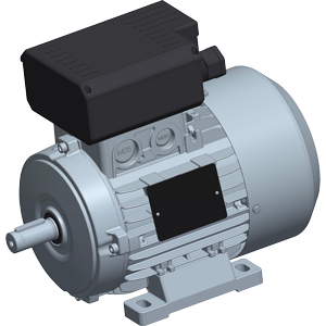 Single-phase motors