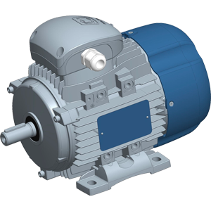 Three-phase motors